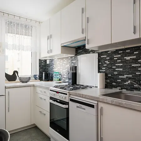 Wola Homely By Bookinghost Appartamento